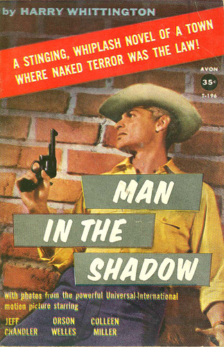 Man in the Shadow by Harry Whittington